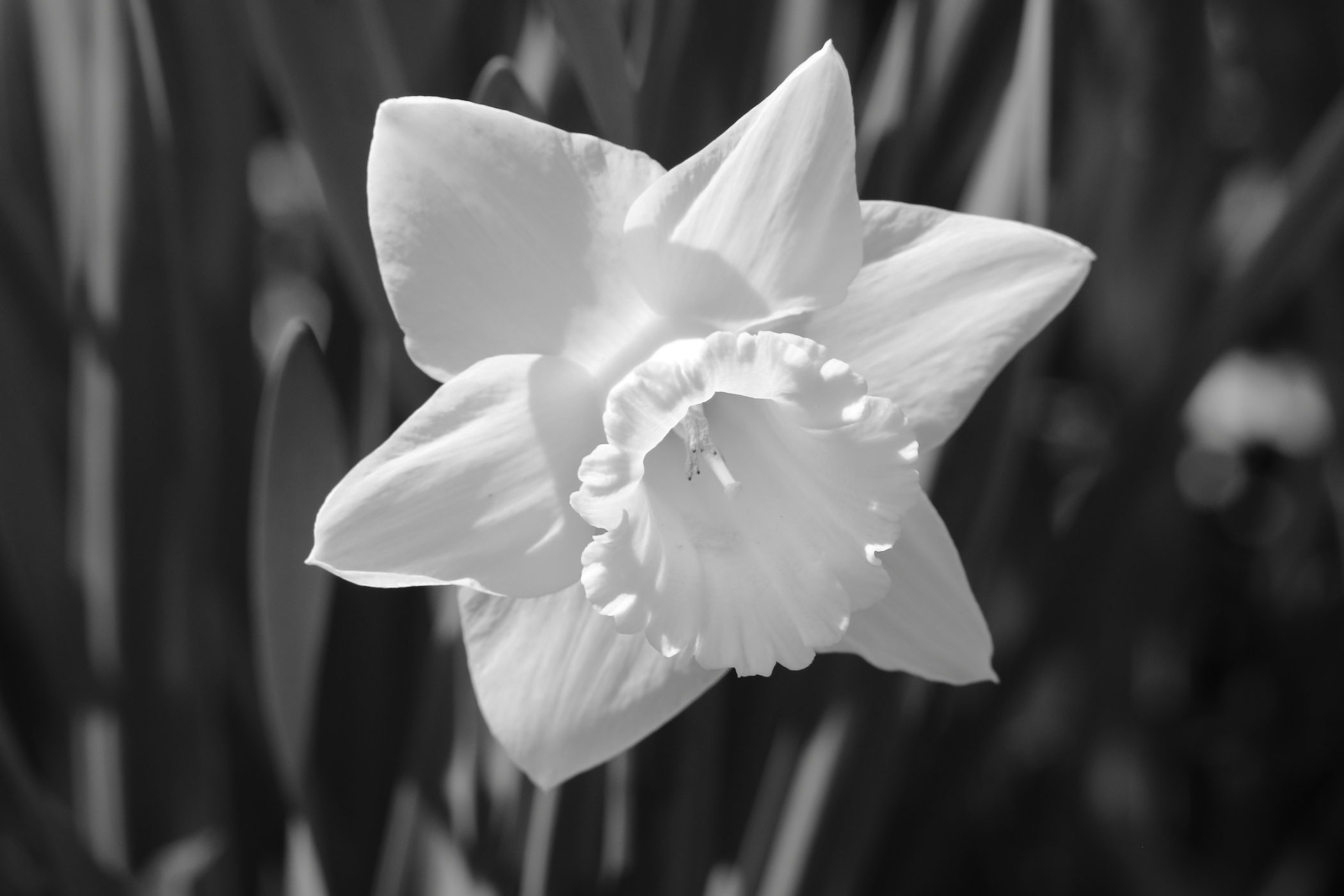 2021 04 18 HTP 50220ebw